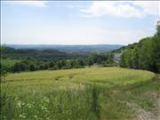 Kleiner Wandertag 2011 039